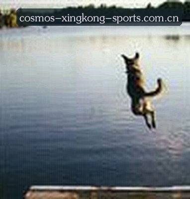 刘洋